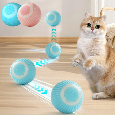 Cat Interactive Ball